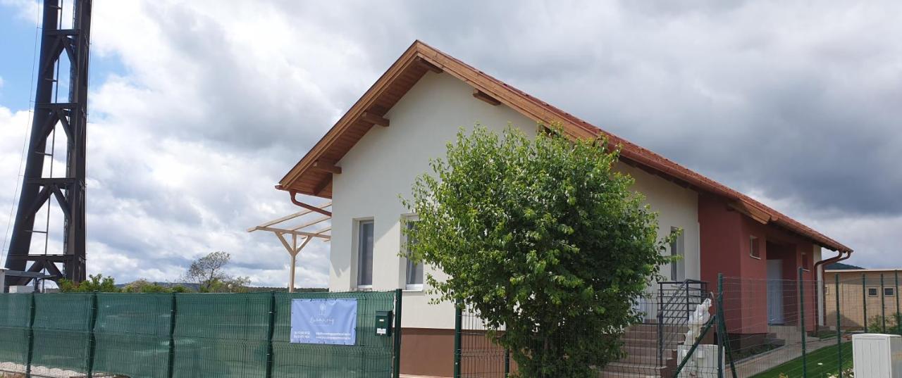 Buzavirag Apartmanhaz Balatonakali Extérieur photo